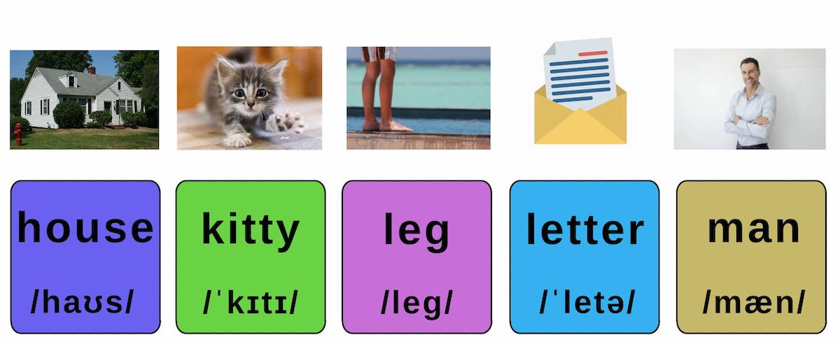 Dolch Noun: house – kitty – leg – letter – man
