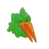 carrots