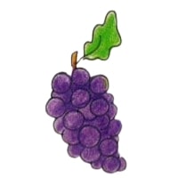 grapes