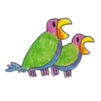parrots