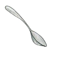 spoon