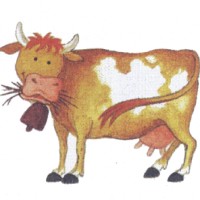 cow