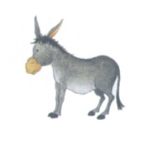donkey