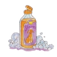 shampoo